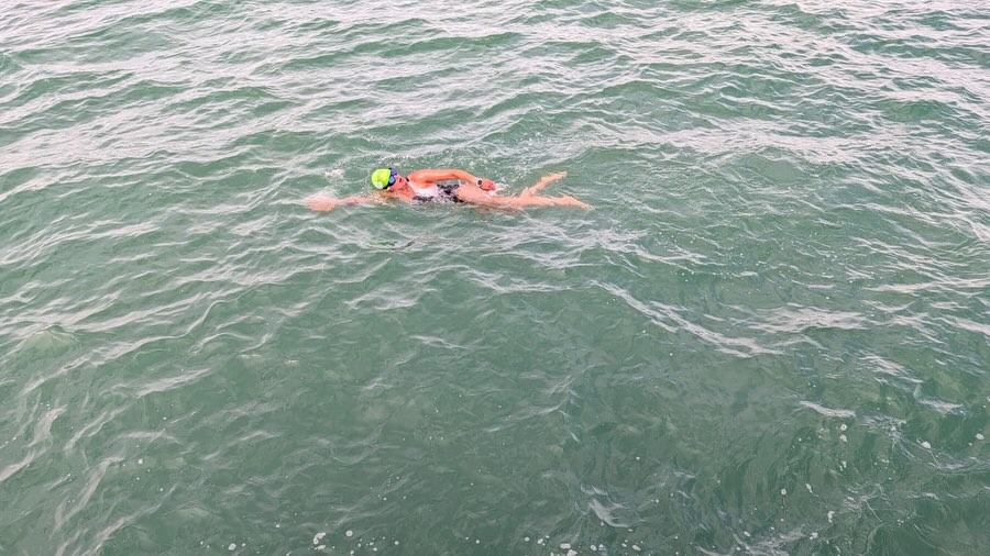 GiGi swimming in open water while training for an English Channel relay